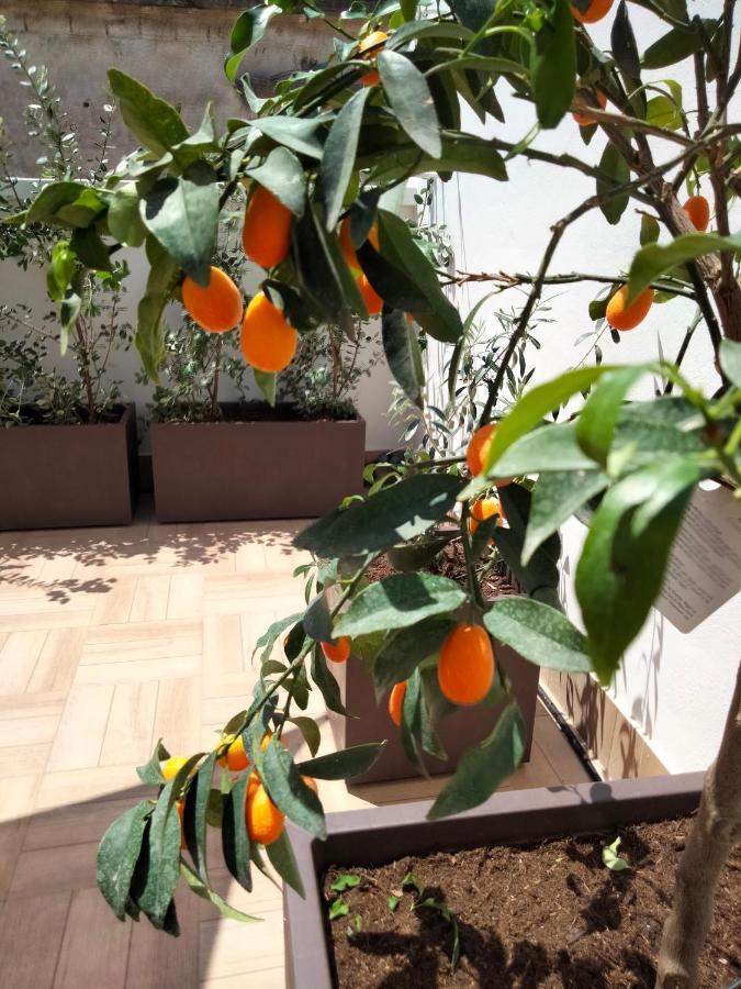 Maison Chene Con Vasca Idromassaggio بيشيلي المظهر الخارجي الصورة
